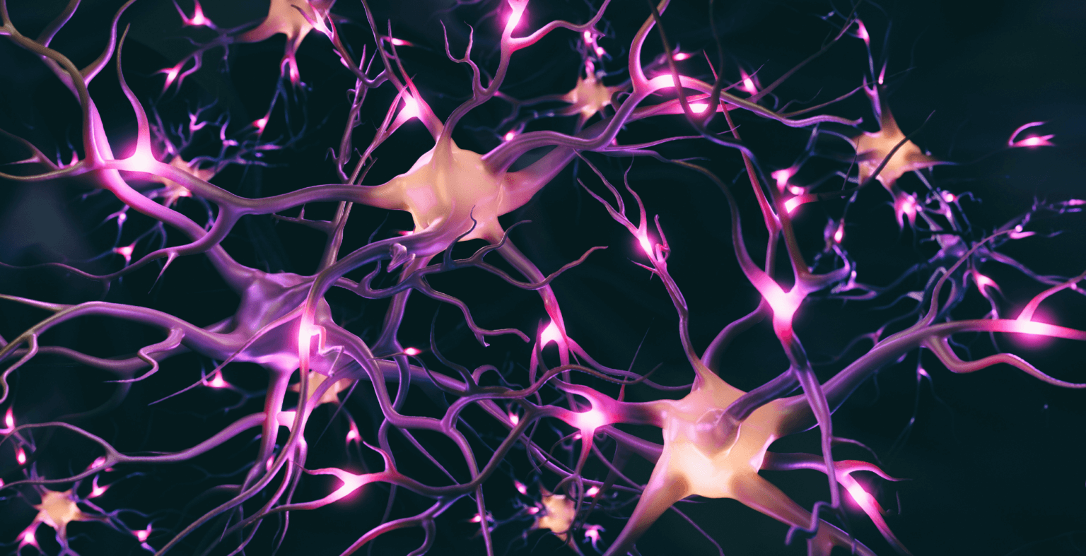 Illustration of cognitive training targeting specific narrow abilities