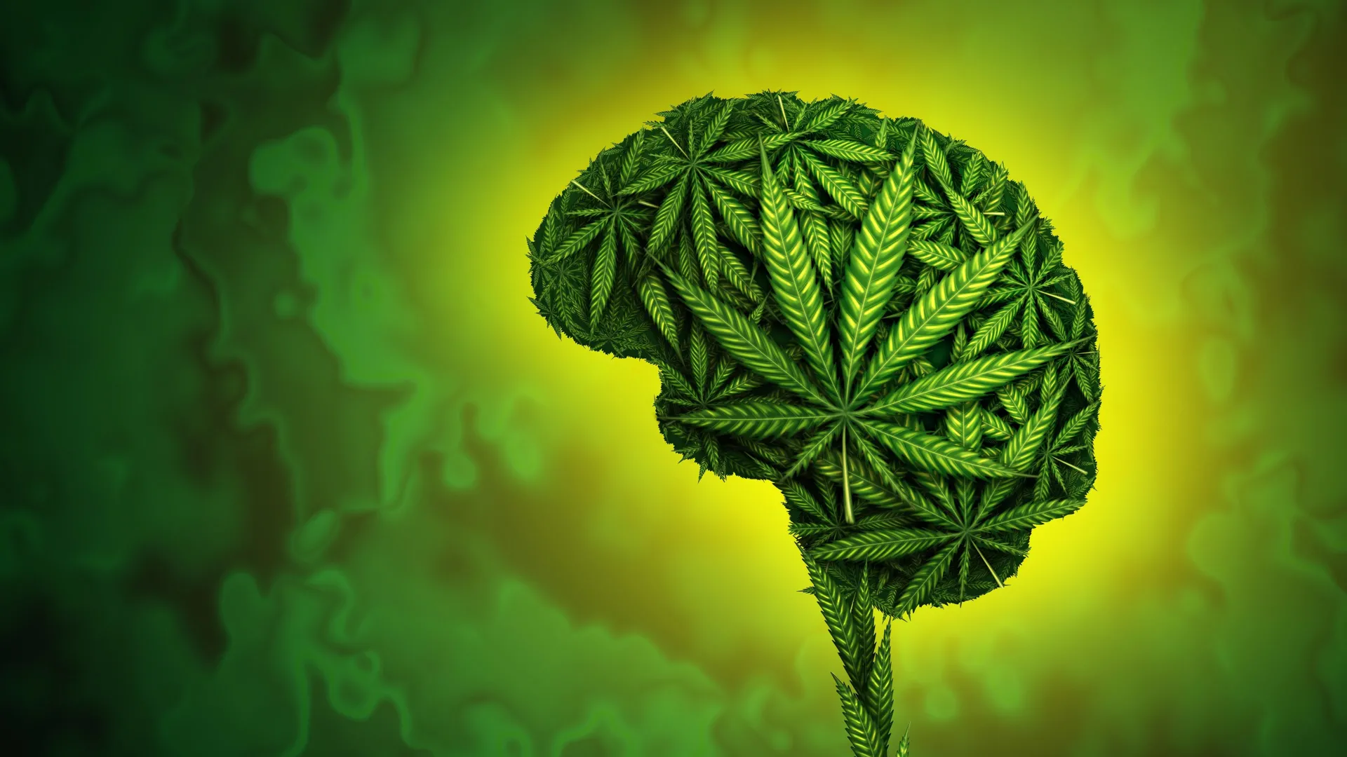 A human brain formed entirely from cannabis leaves against a green and yellow background.
