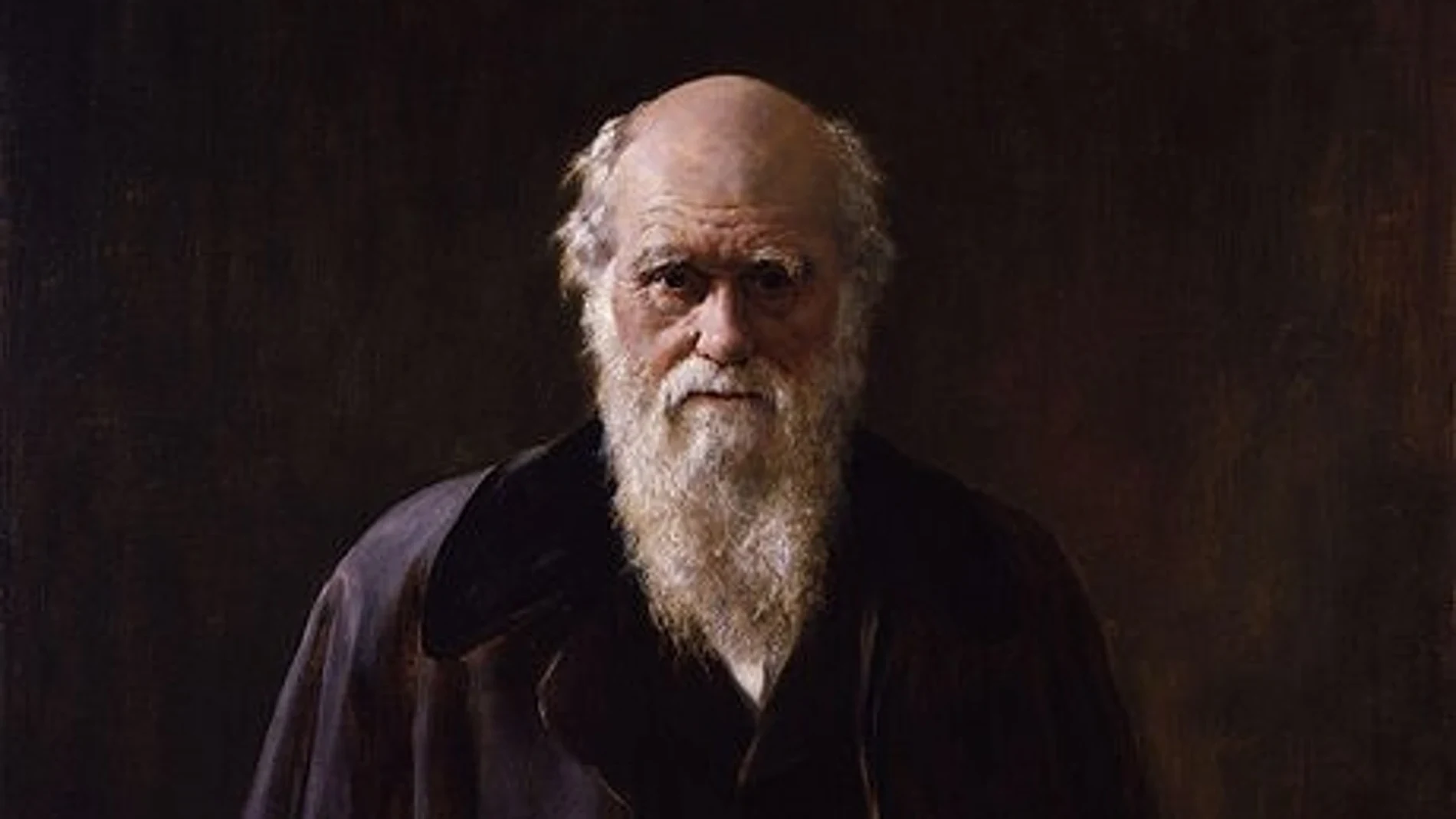 Oil portrait of an elderly man with a bald head, white hair at the sides and a long white beard, wearing a dark coat with a velvet collar against a dark brown background.