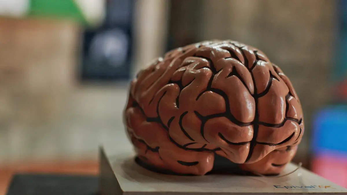 The highest IQ ever recorded: test ceilings, ratio IQ, and famous claims