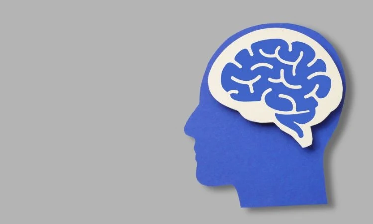 Blue paper cut out of a human head in profile, facing left against a gray background, with a cream colored shape on the skull that holds a blue brain with white folds.