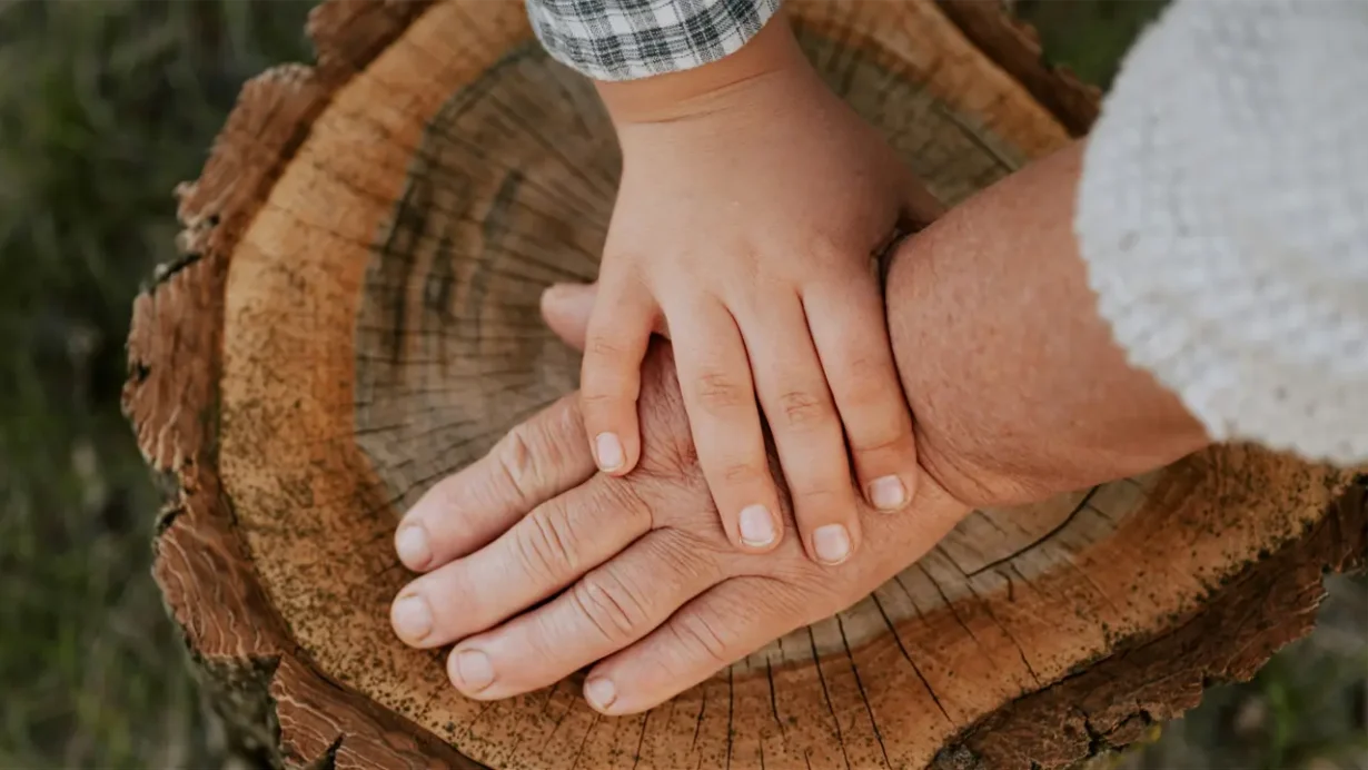 IQ and longevity: childhood intelligence and lifespan