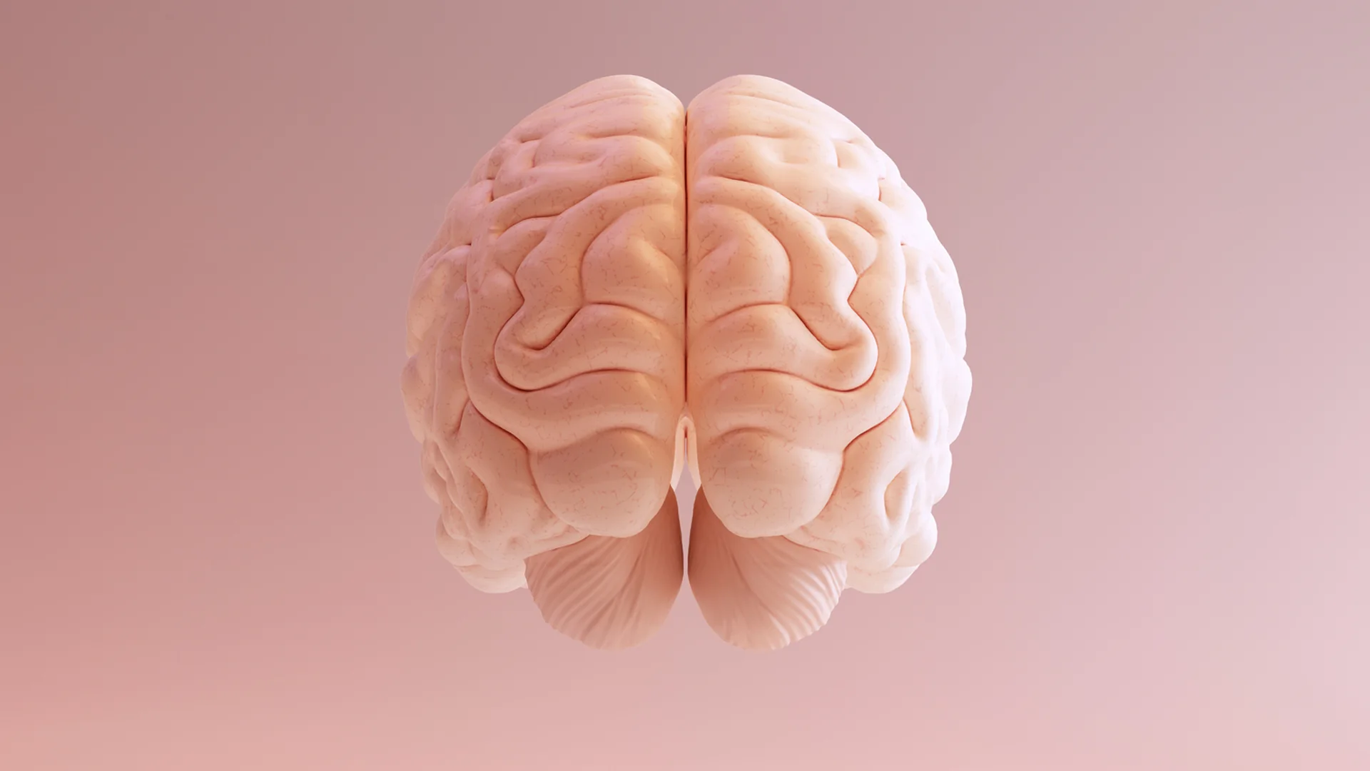 A 3D render of a pale pink human brain seen from behind, with the cerebellum visible beneath the two hemispheres, floating against a soft pink background.