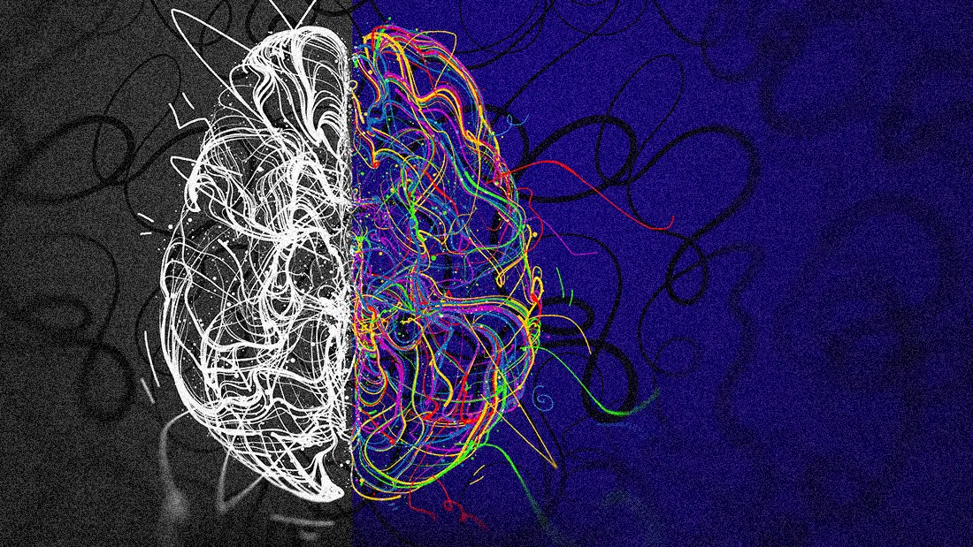 Left brain vs right brain: the personality myth versus real brain lateralization
