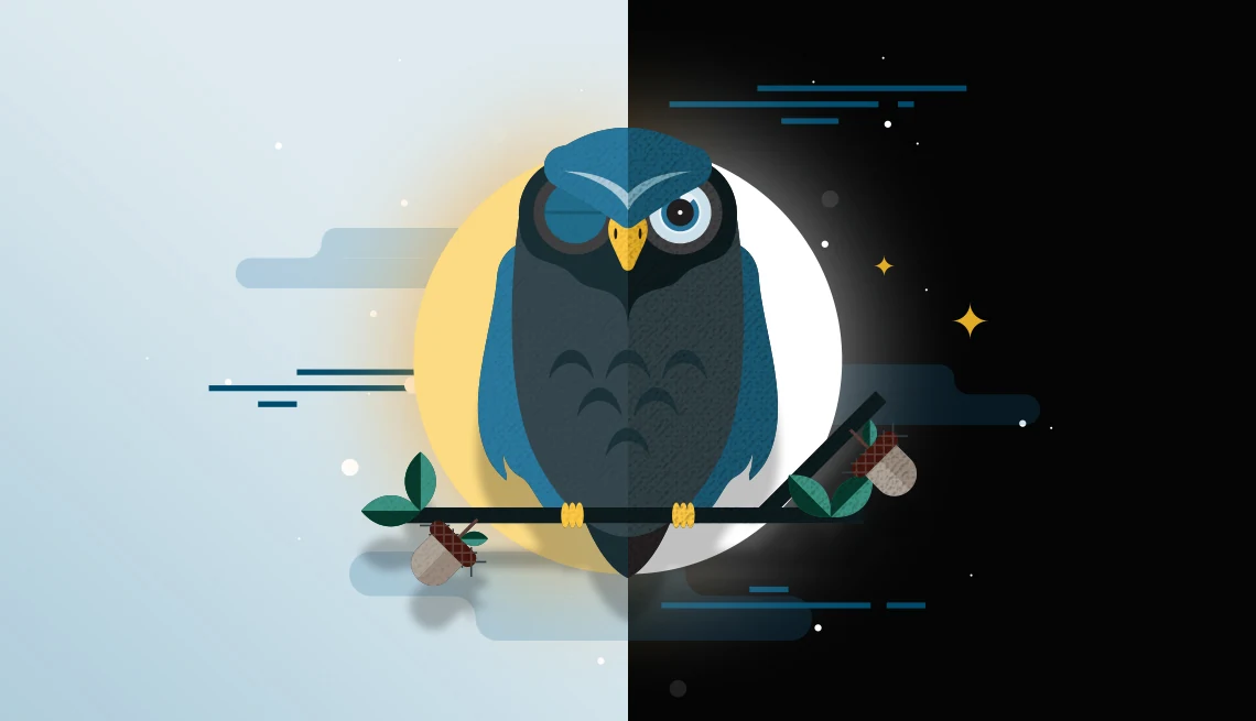 A stylized blue owl with a dark chest sits on a branch with green leaves and two acorns, split down the middle between a pale blue sky with a yellow sun on the left and a black sky with a white moon and gold stars on the right, with one eye closed and one eye open.