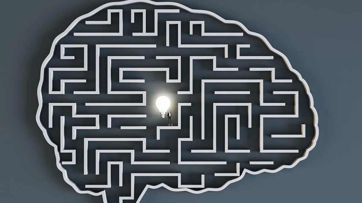 A three dimensional maze shaped like a side view of a human brain, with white walls on a dark gray background, a glowing light bulb near the center and a very small standing figure beside it.