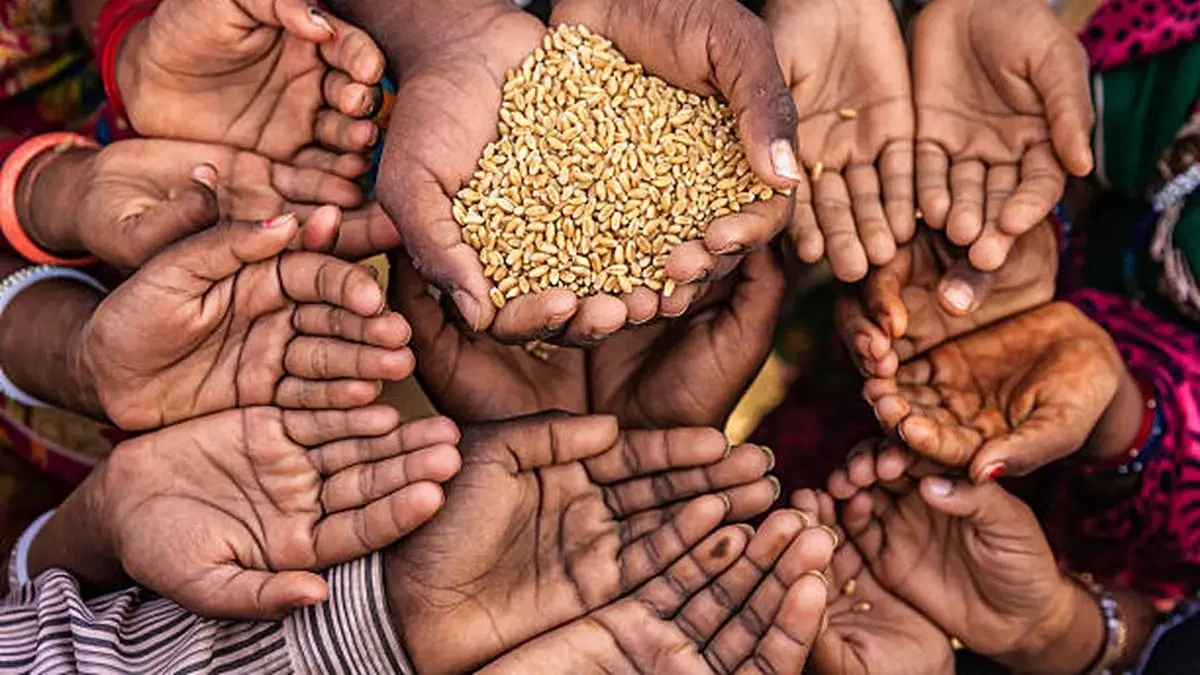 Many open hands reach in from every side of the frame, and one cupped hand at the top center holds a pile of wheat grains.