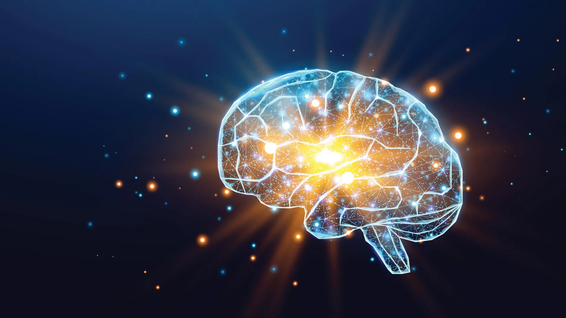 Full brain network activity visualization rejecting the claim that only ten percent is used