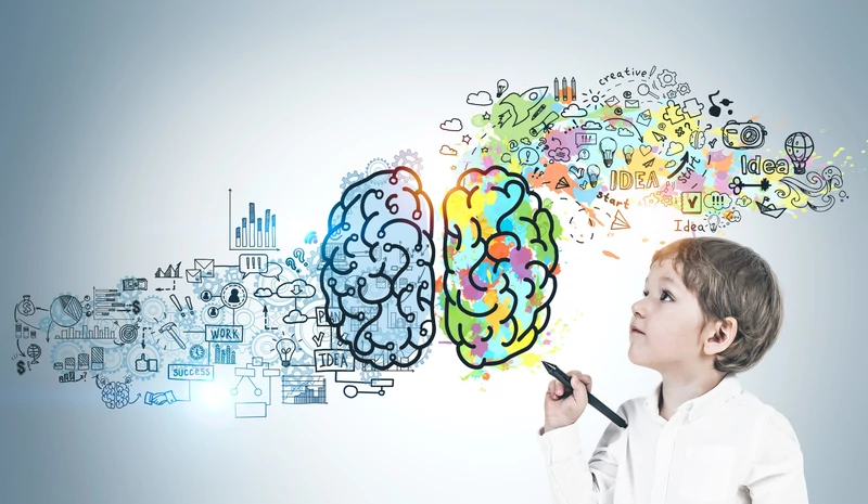 A boy with a pen looks up at a two color brain drawing labeled creative, idea and work.