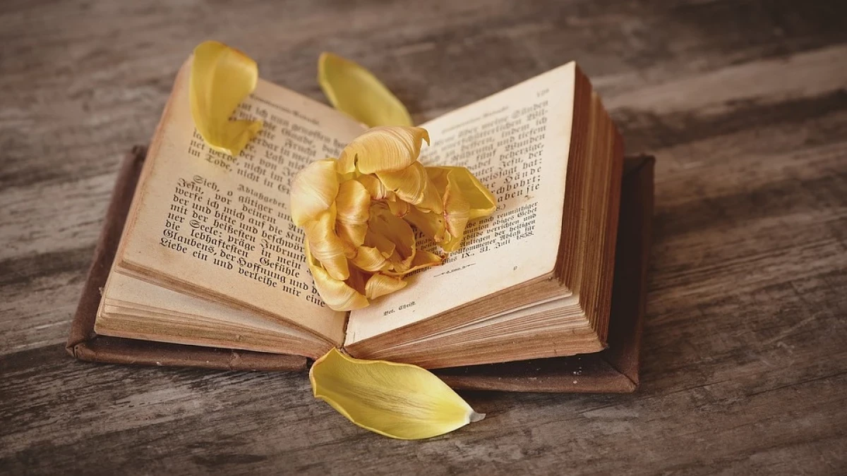 An open old book with small printed text on yellowed pages lies on a weathered wooden table, with a yellow tulip resting across the pages and loose yellow petals around it.