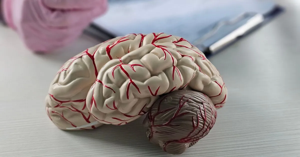 What IQ Measures article image