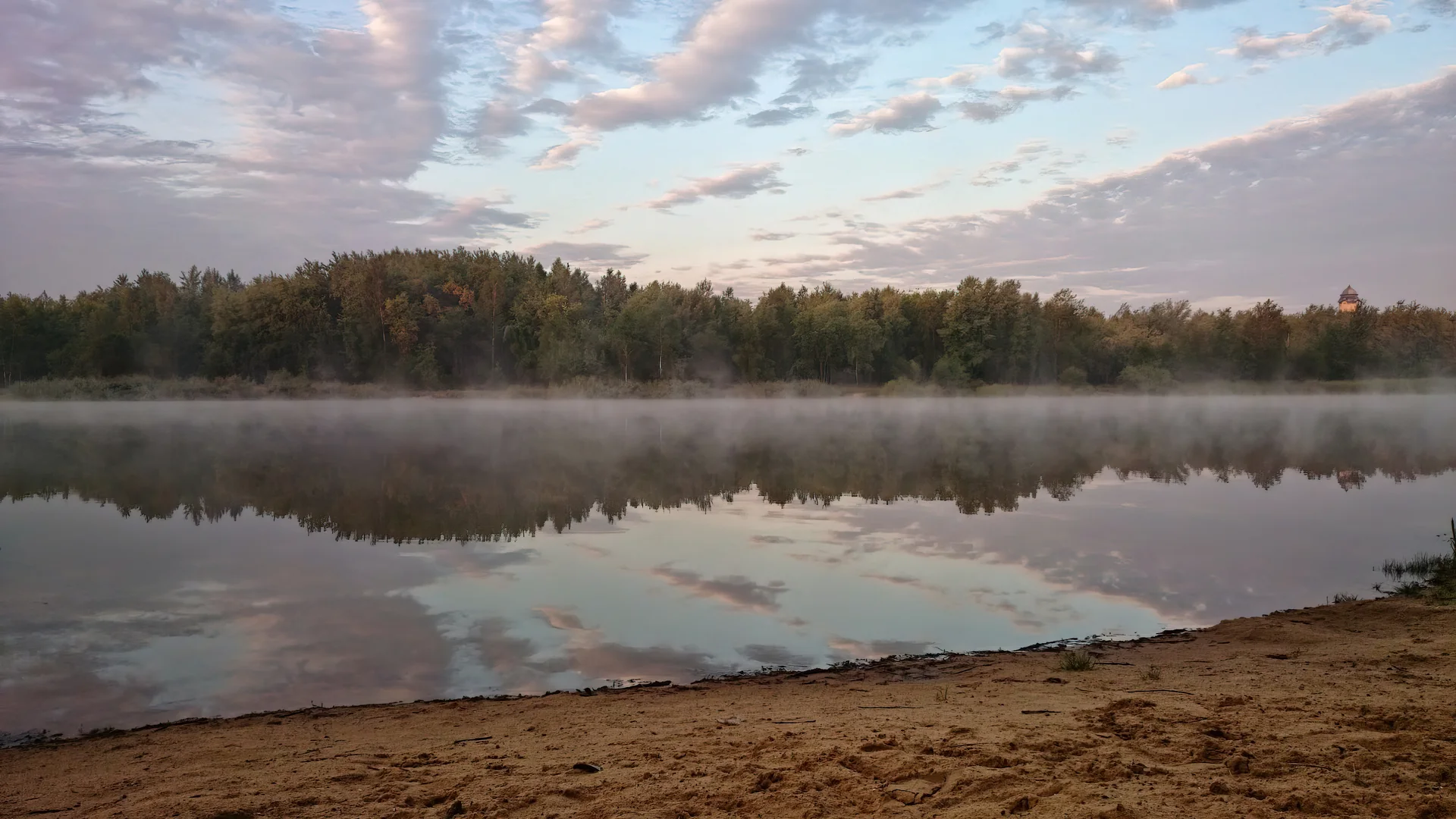A calm pond at sunrise under a sky of scattered pink and grey clouds, with a line of trees on the far bank reflected in the still water, low mist over the surface and a sandy shore in the foreground.